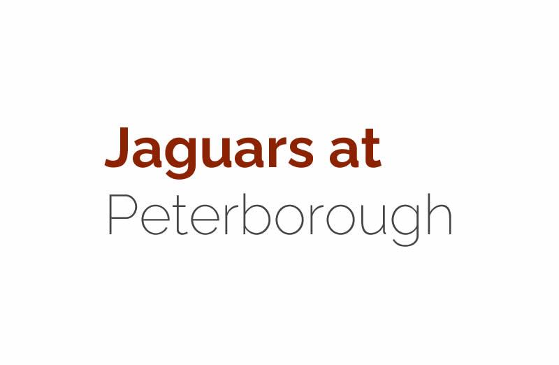 Jaguars at Peterborough Cathedral